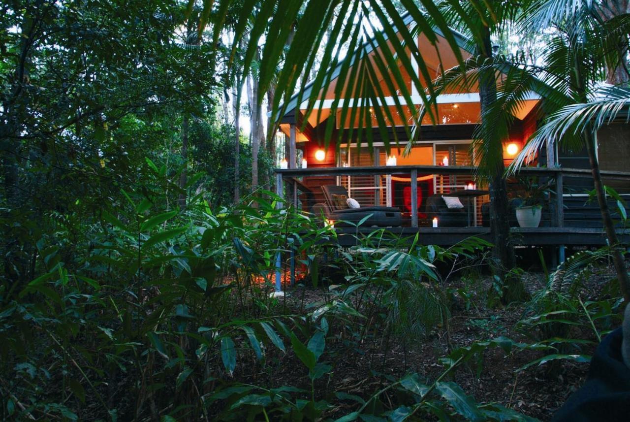 Songbirds Rainforest Retreat Tamborine Mountain Exterior photo