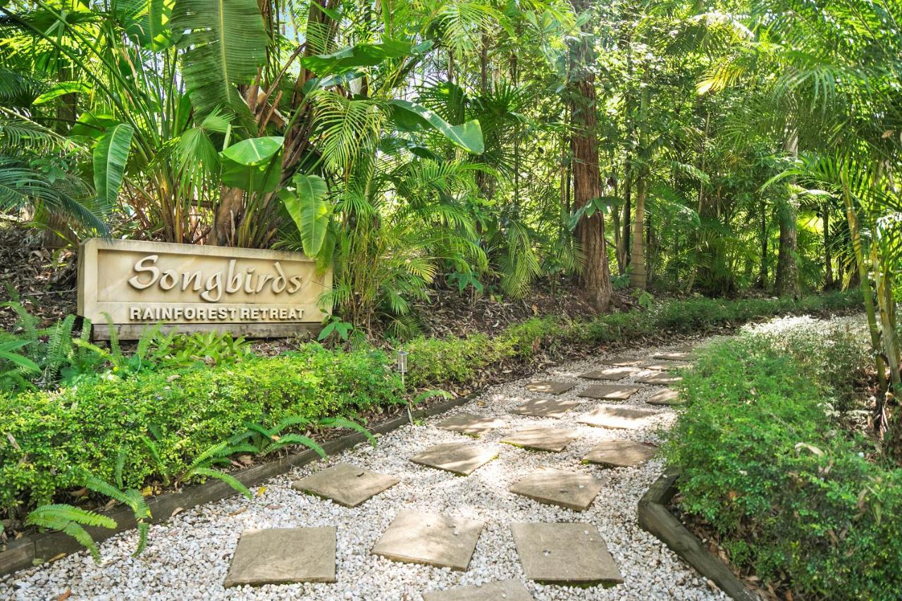 Songbirds Rainforest Retreat Tamborine Mountain Exterior photo
