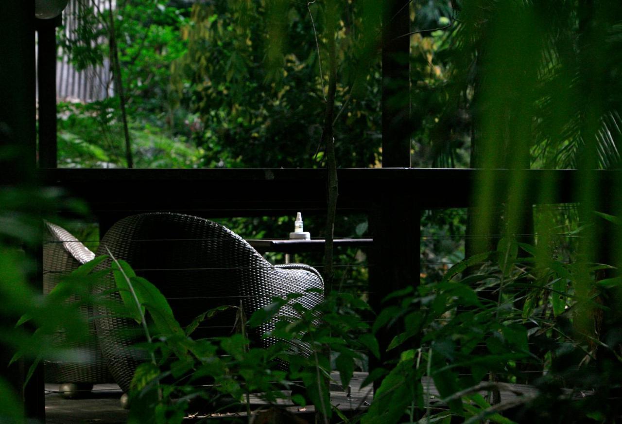 Songbirds Rainforest Retreat Tamborine Mountain Exterior photo