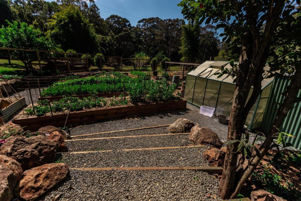 Songbirds Rainforest Retreat Tamborine Mountain Exterior photo