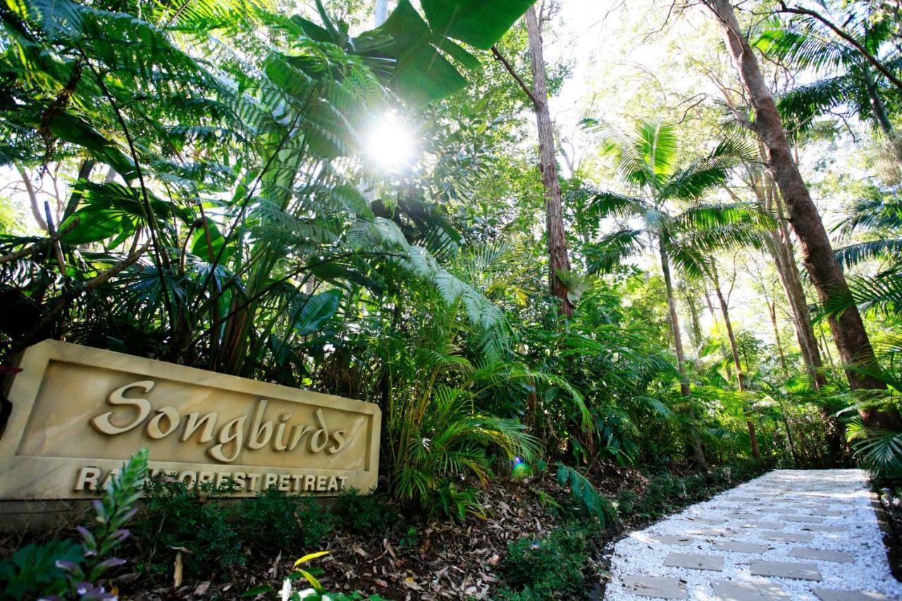 Songbirds Rainforest Retreat Tamborine Mountain Exterior photo