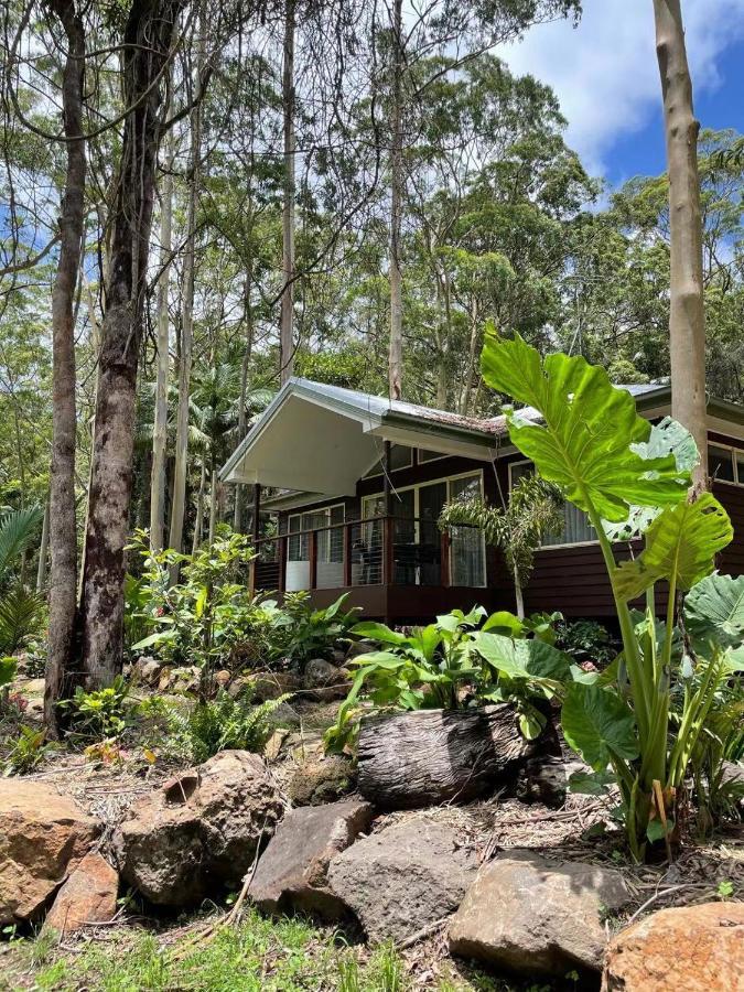 Songbirds Rainforest Retreat Tamborine Mountain Exterior photo