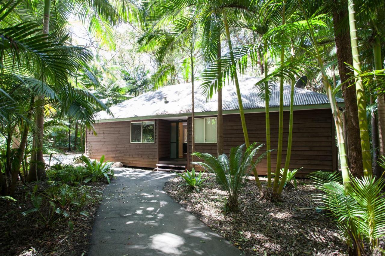 Songbirds Rainforest Retreat Tamborine Mountain Exterior photo