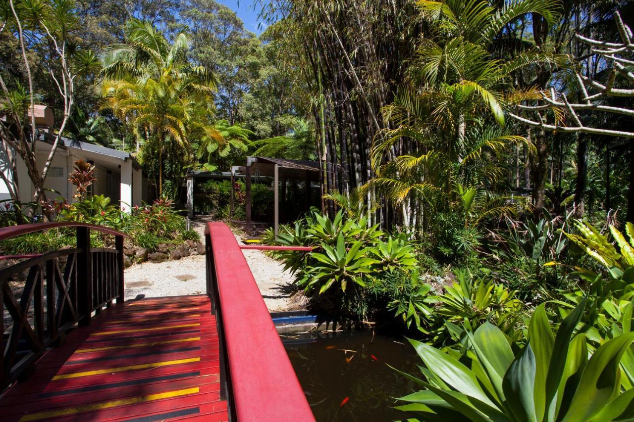 Songbirds Rainforest Retreat Tamborine Mountain Exterior photo