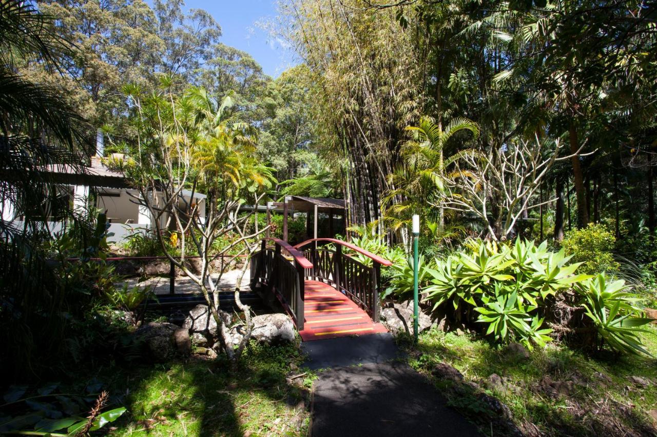 Songbirds Rainforest Retreat Tamborine Mountain Exterior photo