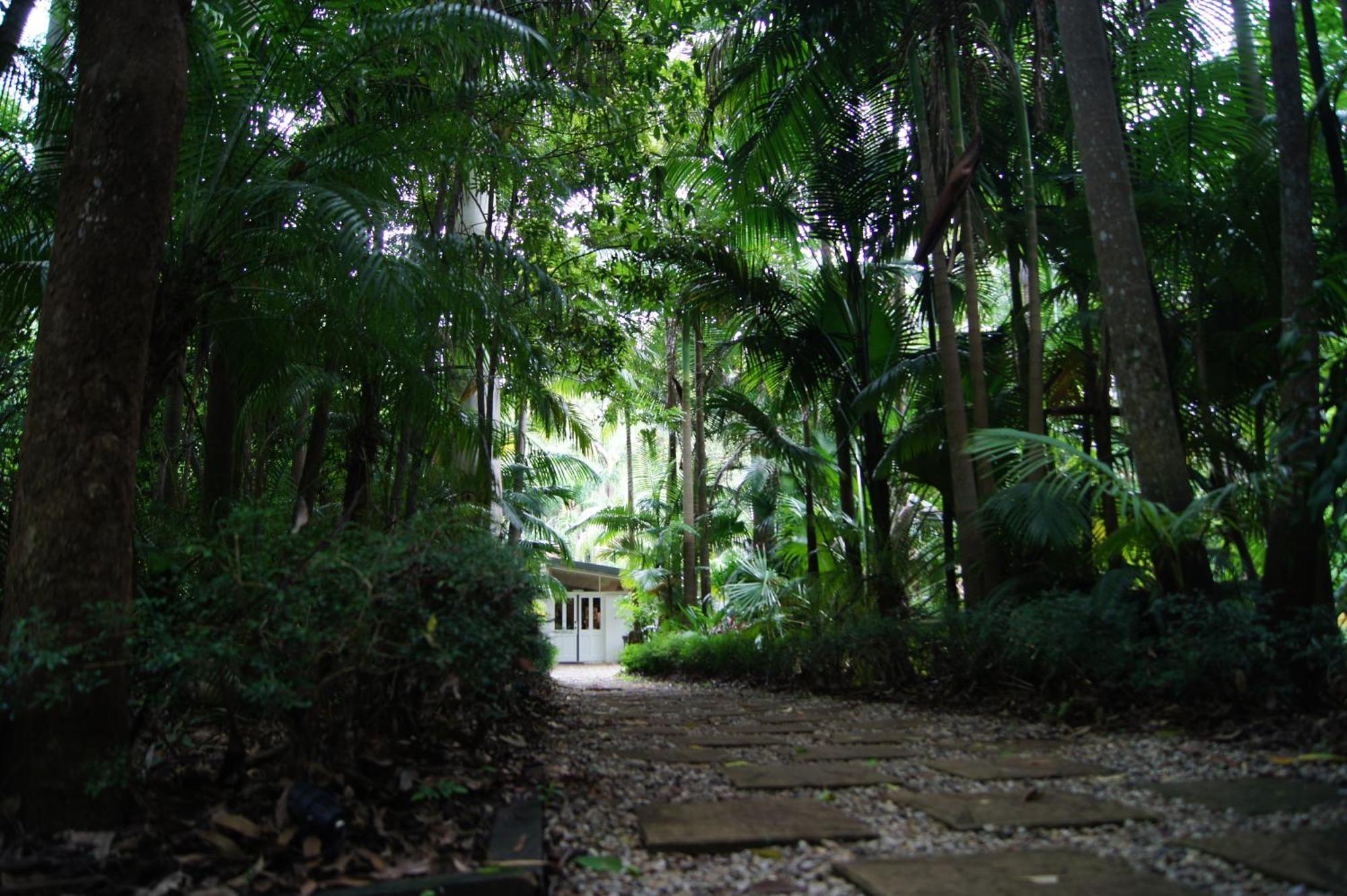Songbirds Rainforest Retreat Tamborine Mountain Exterior photo