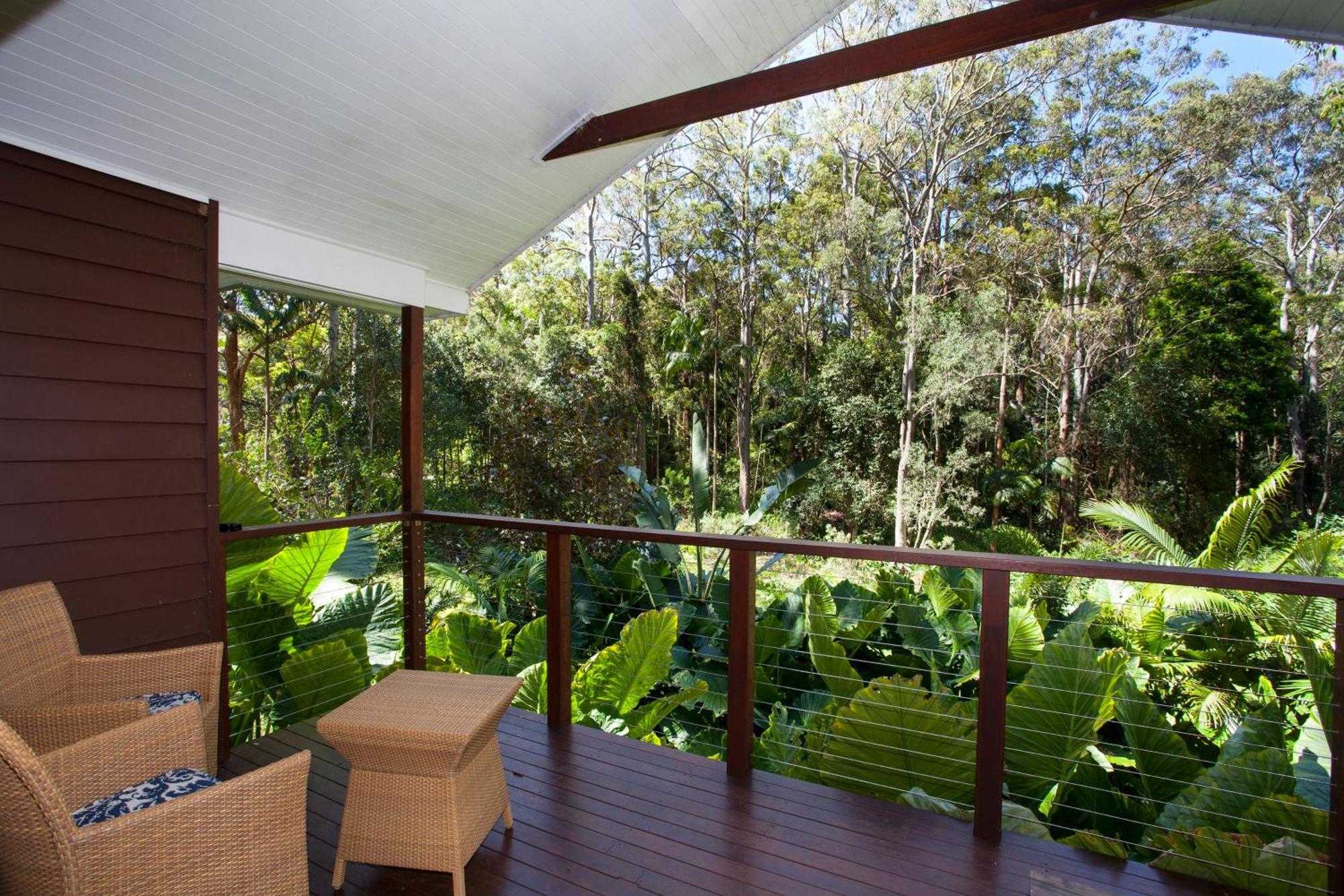Songbirds Rainforest Retreat Tamborine Mountain Exterior photo